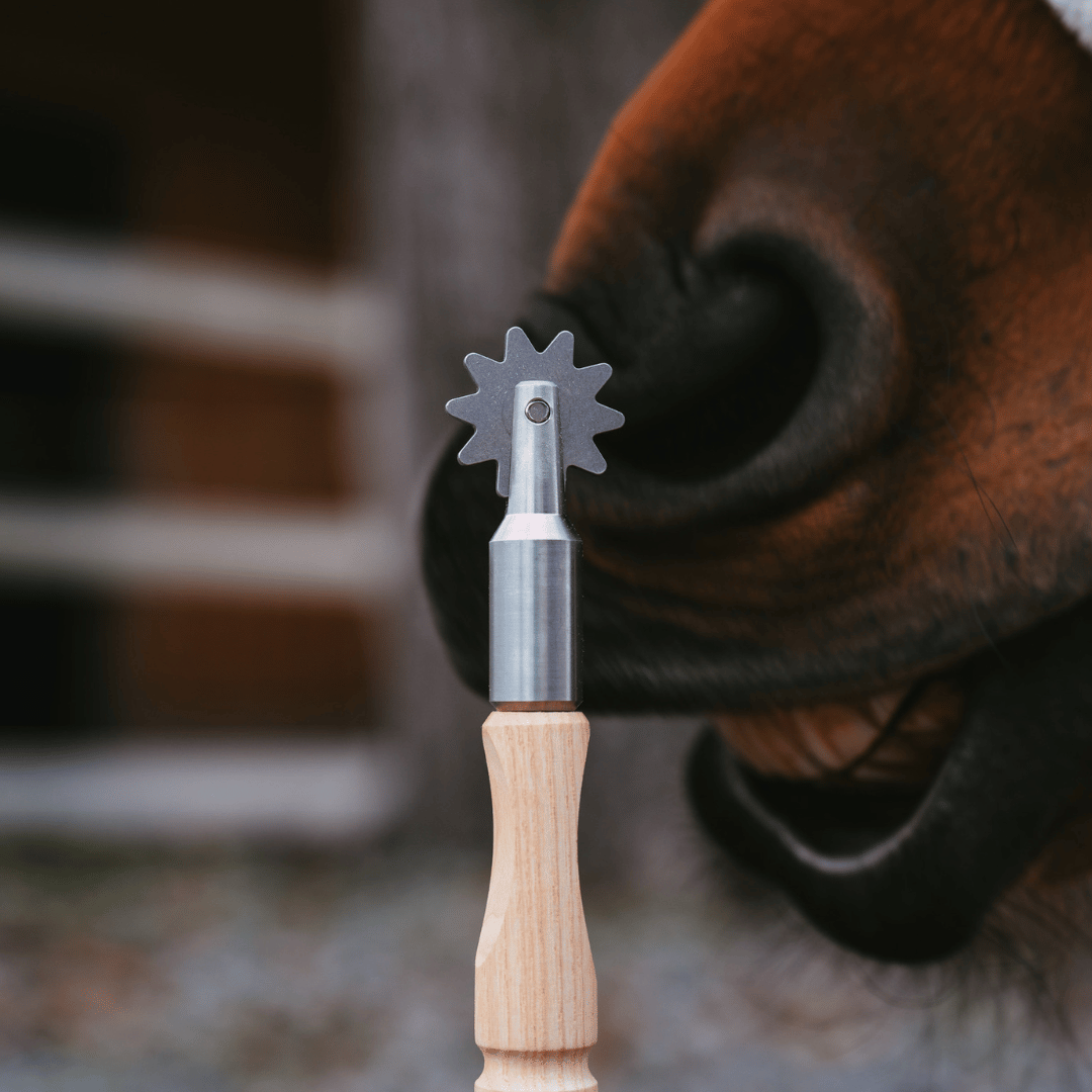 HIP Dehnungsräder 2er Set inkl. Online Ausbildung – Sanfte Mobilisation für dein Pferd