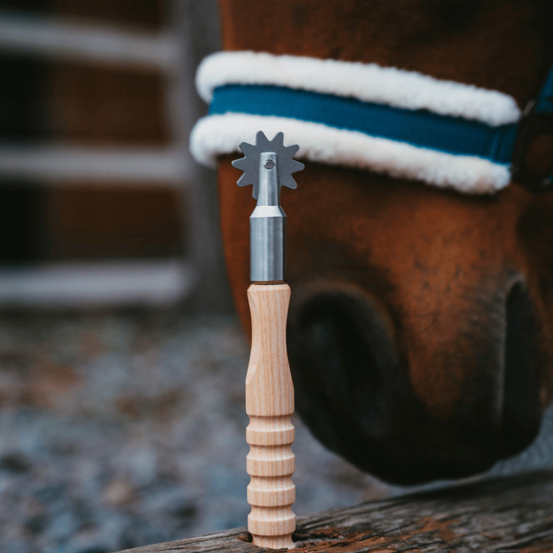 HIP Dehnungsräder 2er Set inkl. Online Ausbildung – Sanfte Mobilisation für dein Pferd