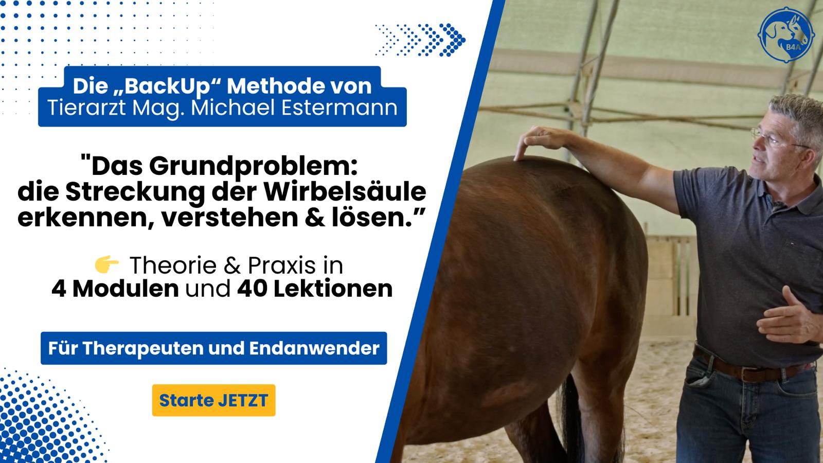 B4A Academy Videokurs - die "BackUp" Methode mit Tierarzt Mag. Michael Estermann