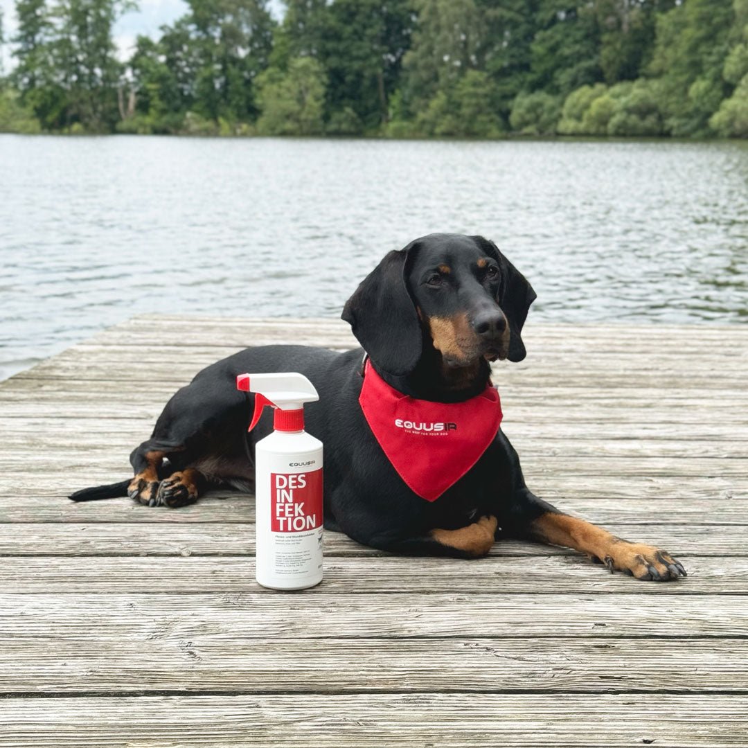 BIONIC Desinfektion Spray Hund