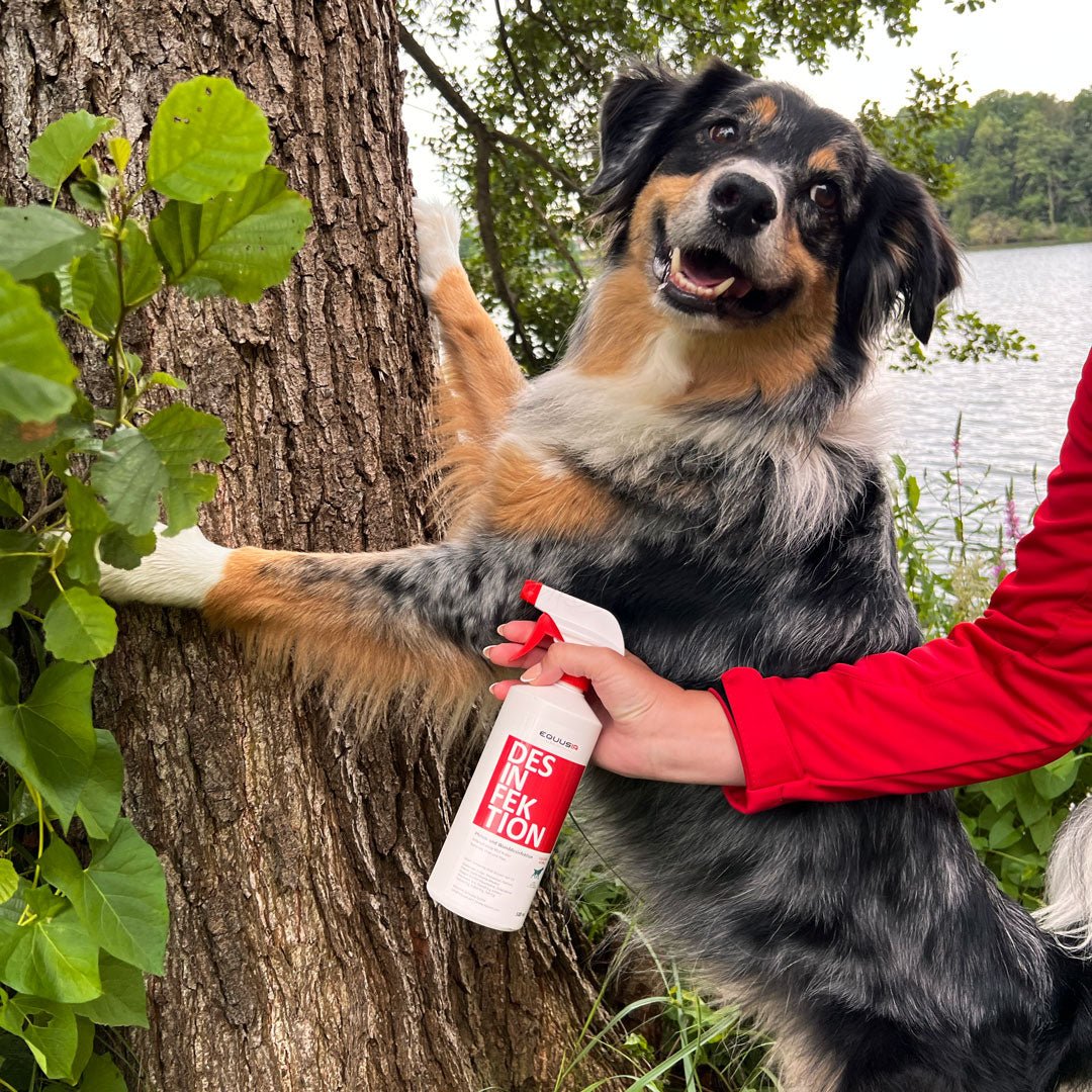 BIONIC Desinfektion Spray Hund
