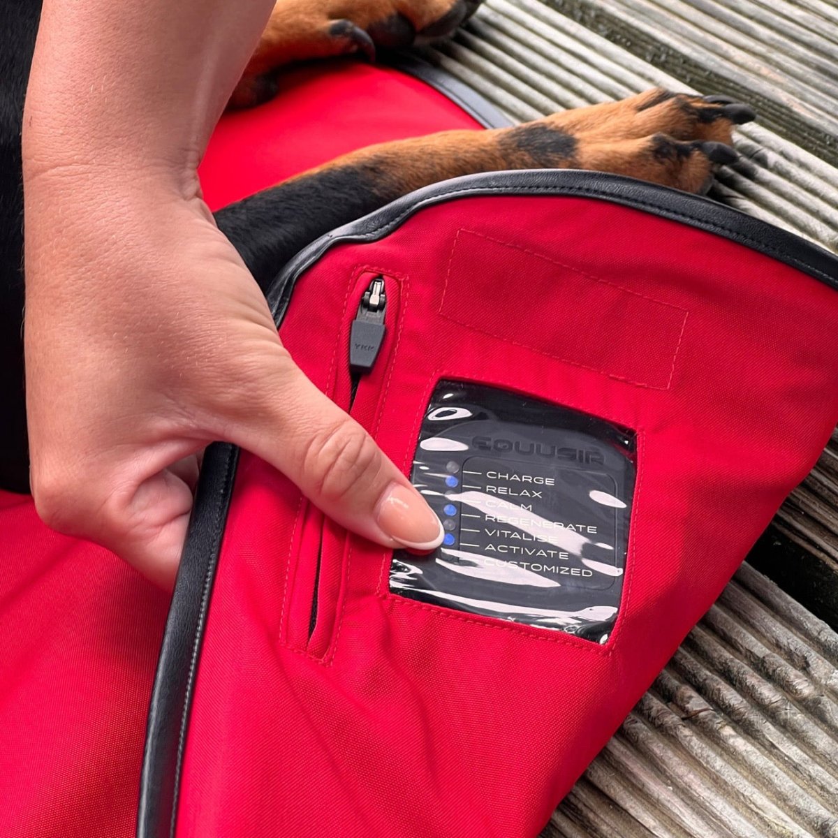 EQUUSIR BIOS Hundedecke Hund