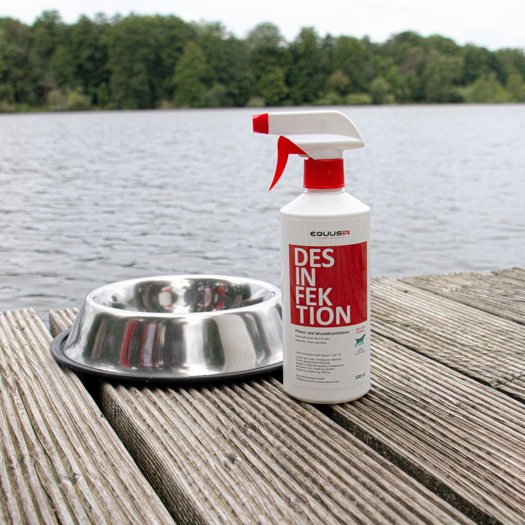 BIONIC Desinfektion Spray Hund