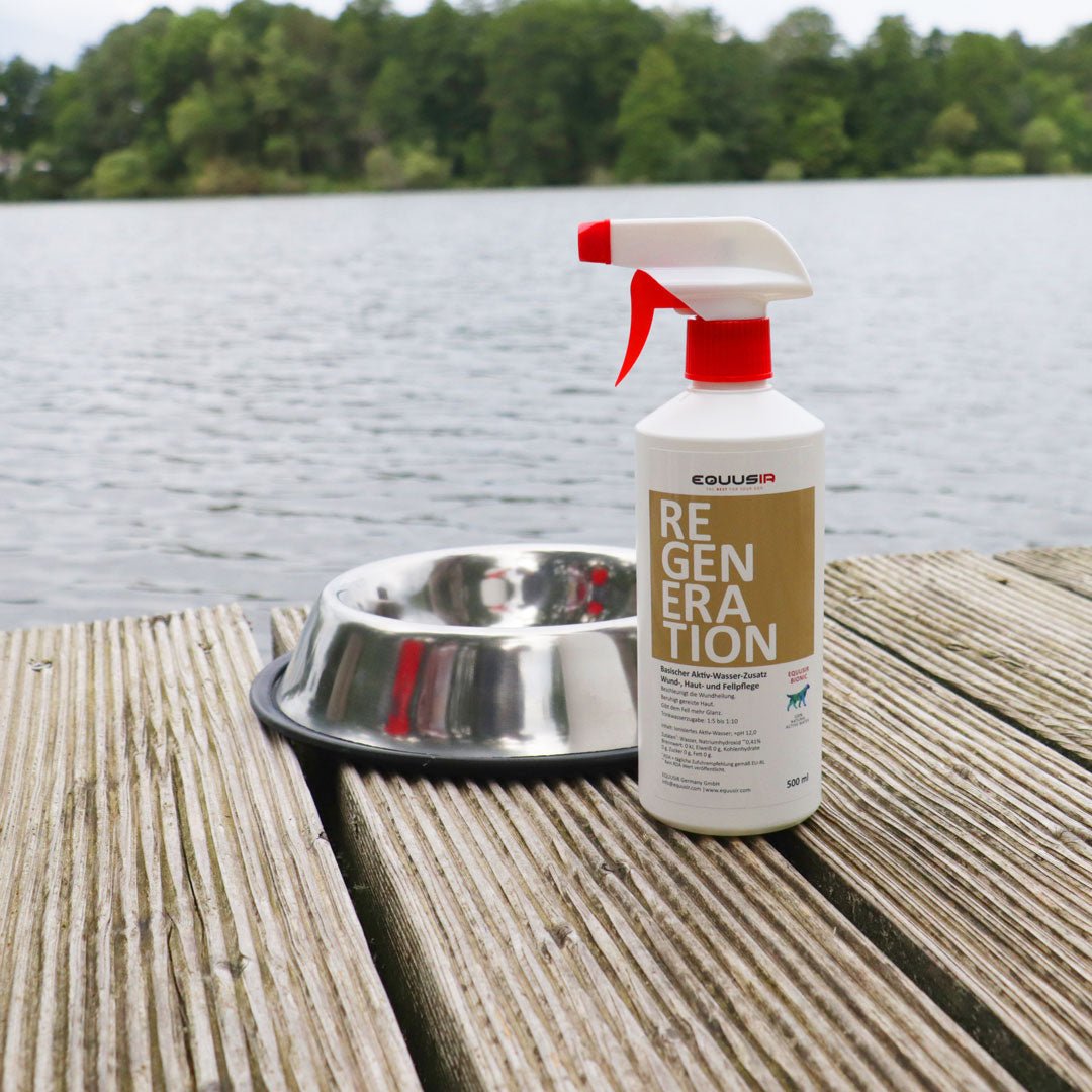 BIONIC Regeneration Spray for Dogs