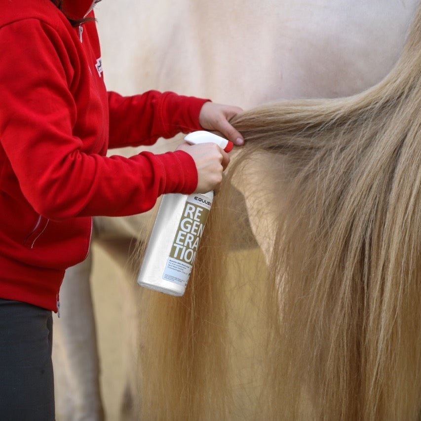 BIONIC Regeneration Spray Pferd