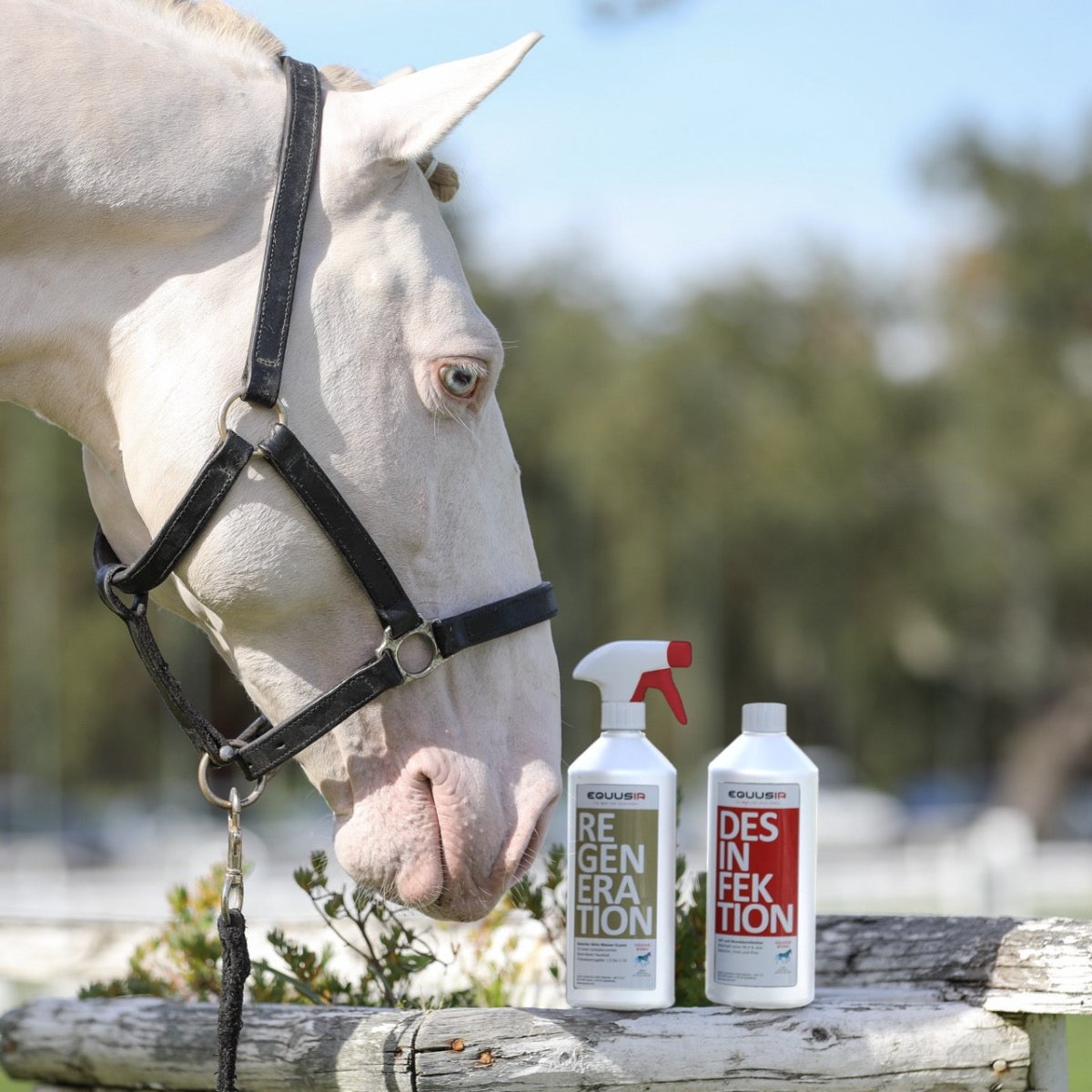 BIONIC Regeneration Spray Pferd