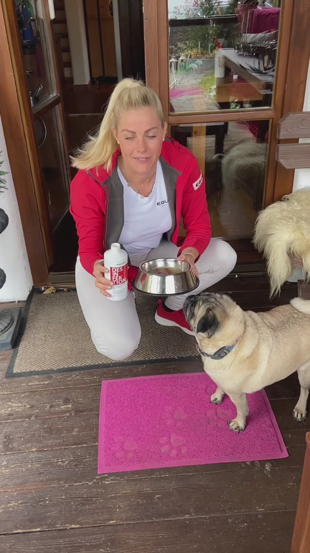 BIONIC Desinfektion Hund – Anwendung