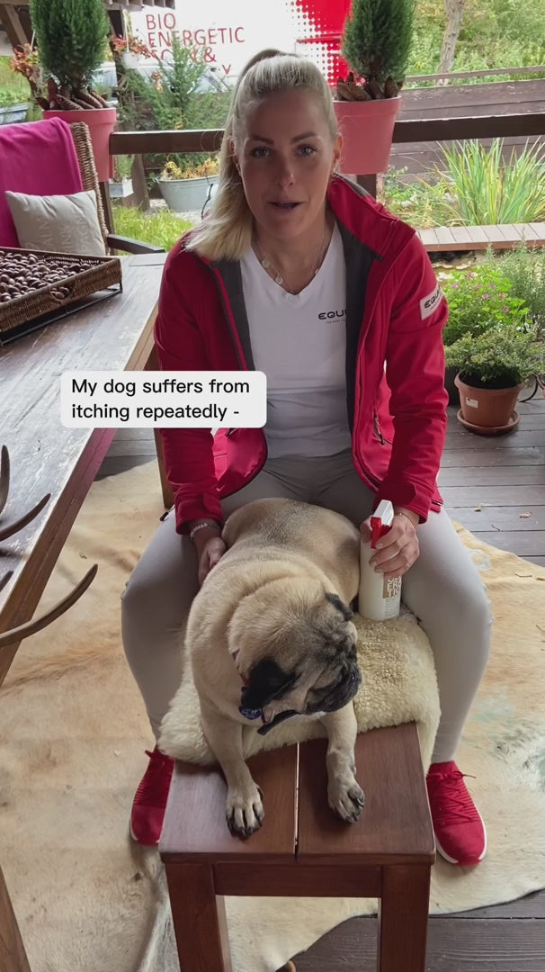 BIONIC Regeneration Hund – Anwendung