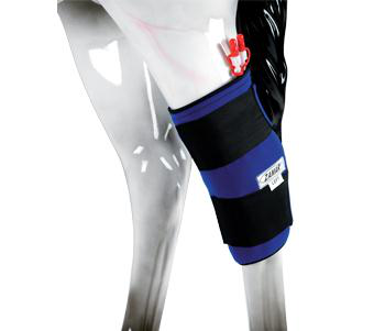 ZAMAR Thermo-Manschette Knie rechts